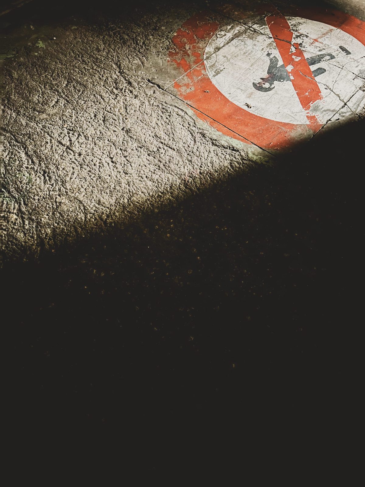 A “don’t walk” sign peaking out of the shadows. Image Anthony Nelzin-Santos.