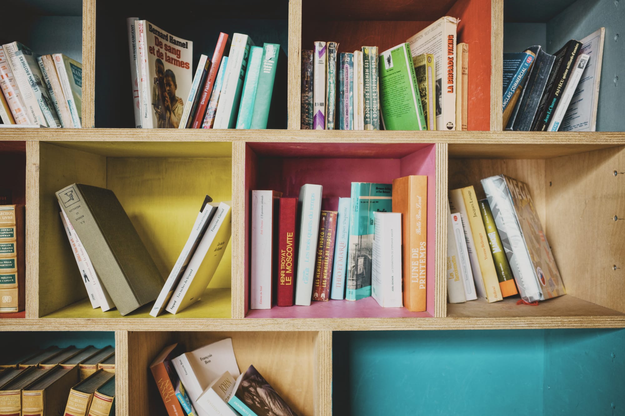 Colourful bookshelves in an outdoor library. Image Anthony Nelzin-Santos.