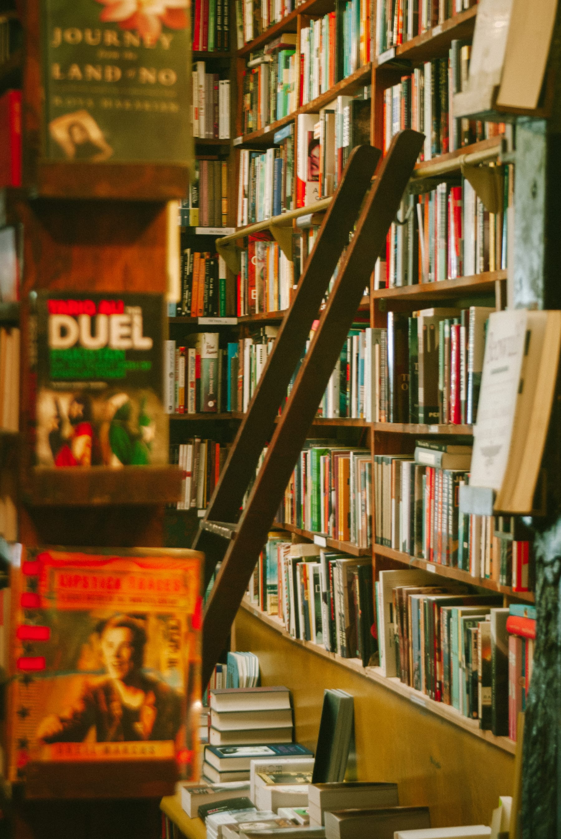 Une échelle contre une bibliothèque dans la librairie Shakespeare and Company à Paris.