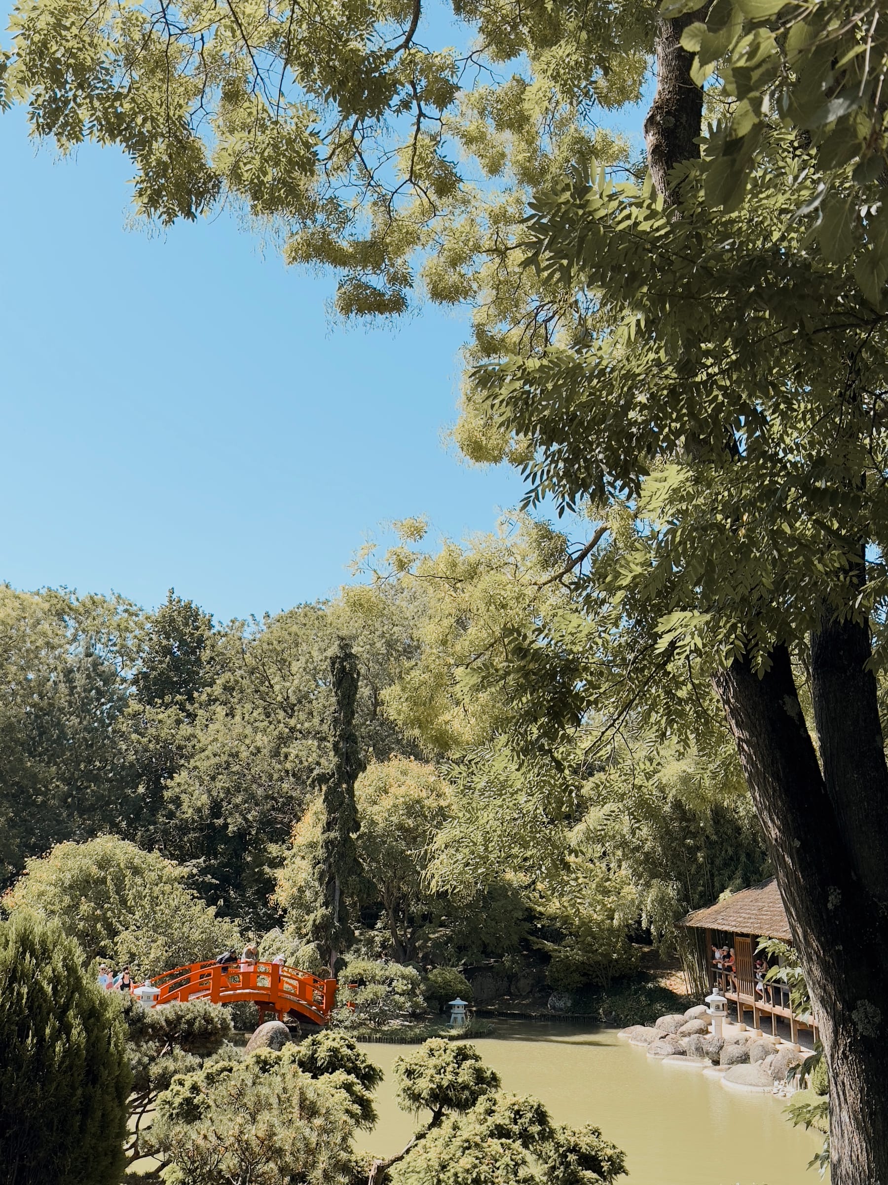 A view of the Pierre-Baudis Japanese garden in Toulouse (France).