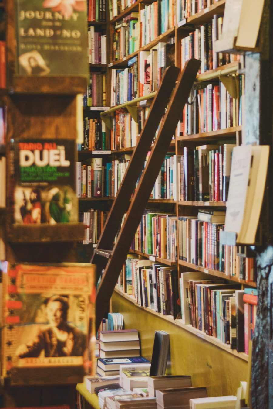 A library ladder in a bookshop.