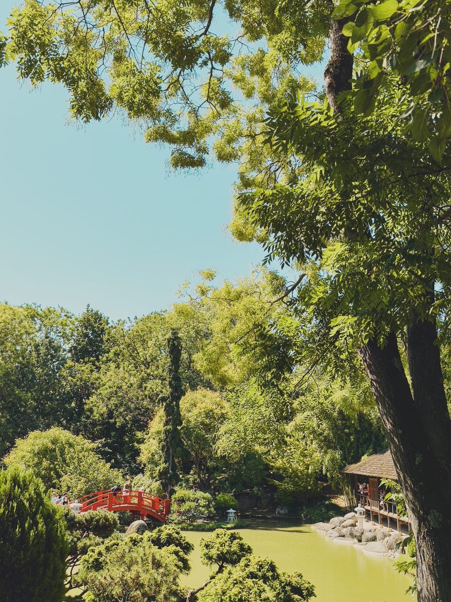 The Pierre-Baudis Japanese garden in Toulouse.