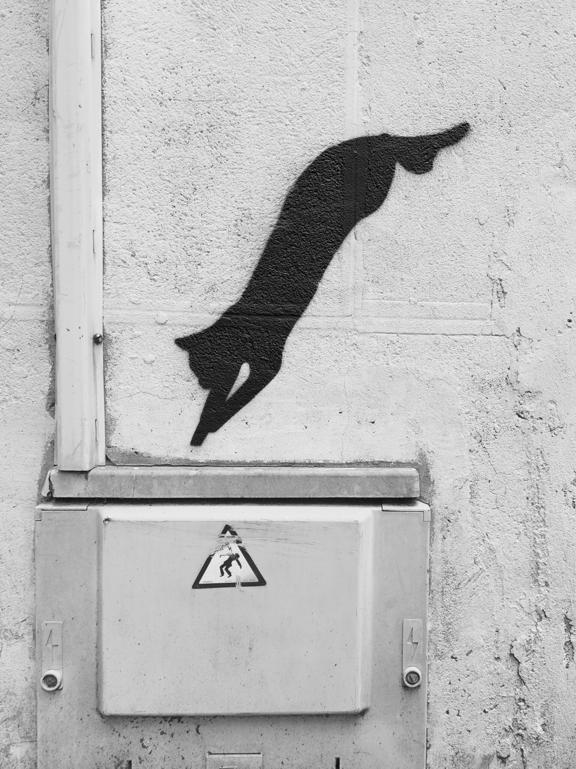 A mural of a cat jumping in an electrical junction box.