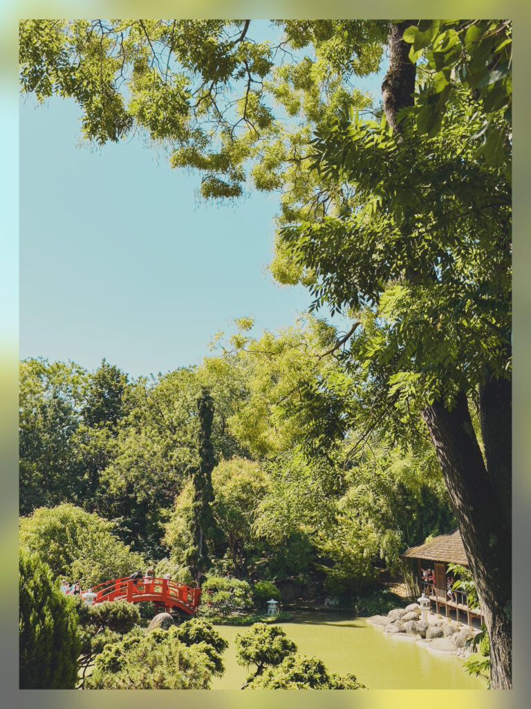 A view of the Pierre-Baudis Japanese garden in Toulouse (France).