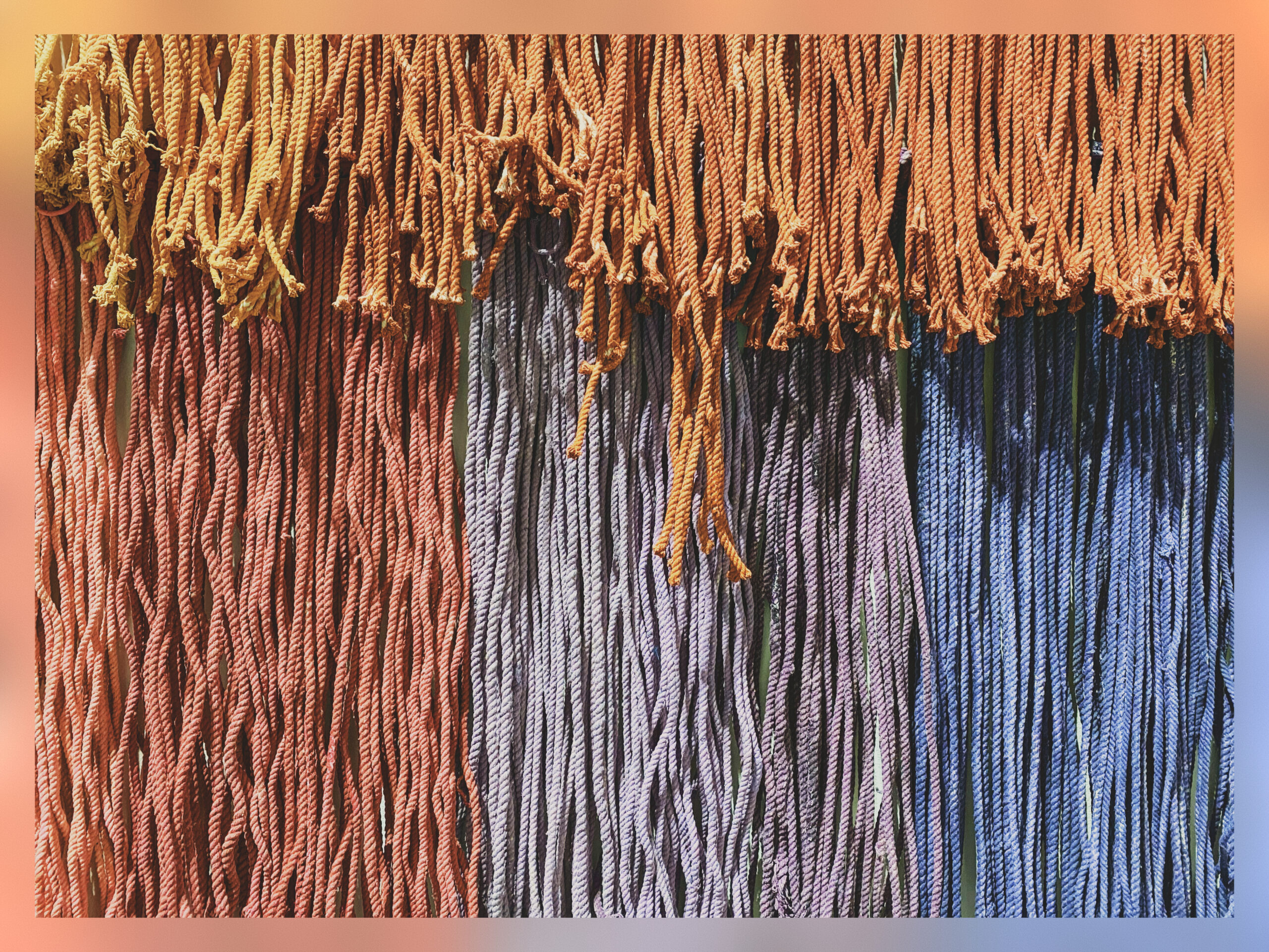 Bundles of thread in assorted colours.